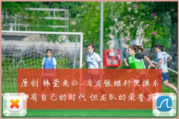 原创 韩莹老公_马龙张继科樊振东都有自己的时代 但龙队的荣誉其他人比不了