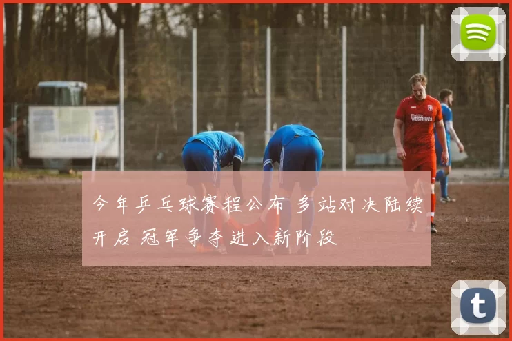 今年乒乓球赛程公布 多站对决陆续开启 冠军争夺进入新阶段