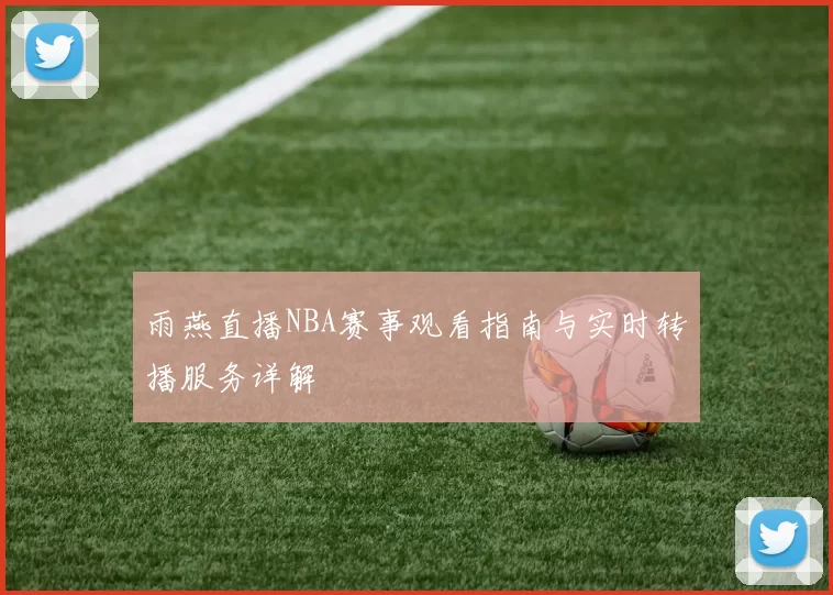 雨燕直播NBA赛事观看指南与实时转播服务详解