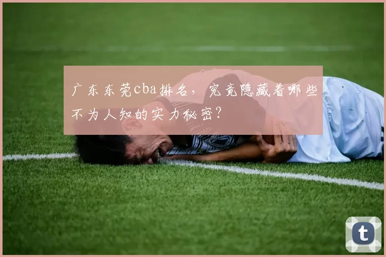 广东东莞cba排名，究竟隐藏着哪些不为人知的实力秘密？