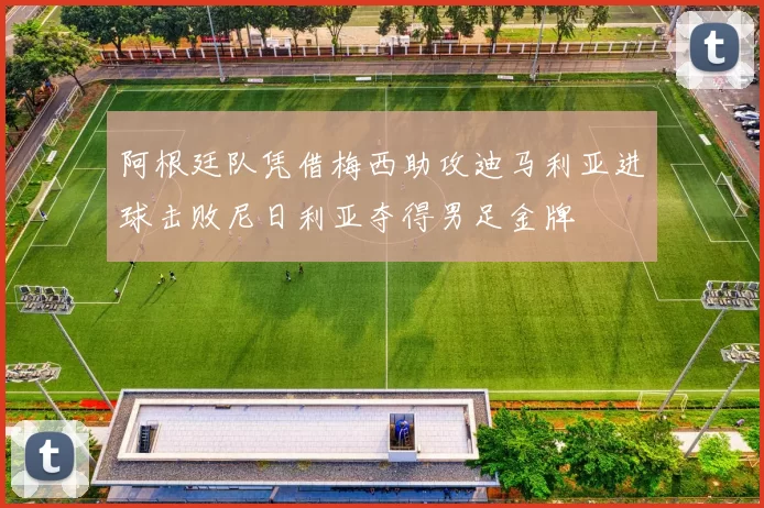 阿根廷队凭借梅西助攻迪马利亚进球击败尼日利亚夺得男足金牌