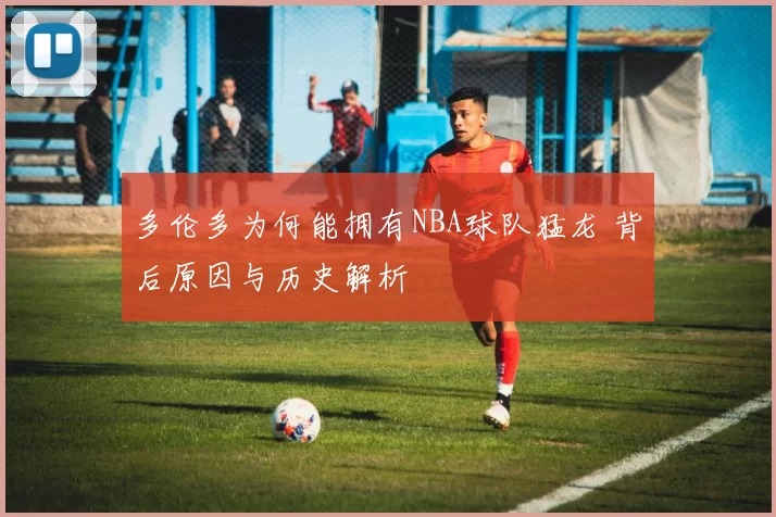 多伦多为何能拥有NBA球队猛龙 背后原因与历史解析